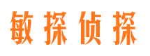 浉河侦探公司